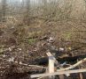 Исполнено решение суда по иску Калужской природоохранной прокуратуры о ликвидации отходов, размещенных в Жировском овраге г. Калуги