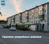 На улице Максима Горького начали удалять аварийные и больные деревья