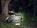 В Калужской области «БМВ» врезался в дерево