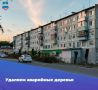 На улице Максима Горького начали удалять аварийные и больные деревья