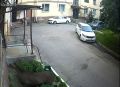 Жители одного из дворов Обнинска гадали, кто же портит клумбы