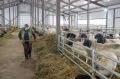 Тарусский центр животноводства получил официальный статус