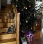 Праздничные рецепты, которые зарядят энергией после новогодних застолий