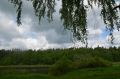 В Калужской области ожидается прохладный и дождливый понедельник