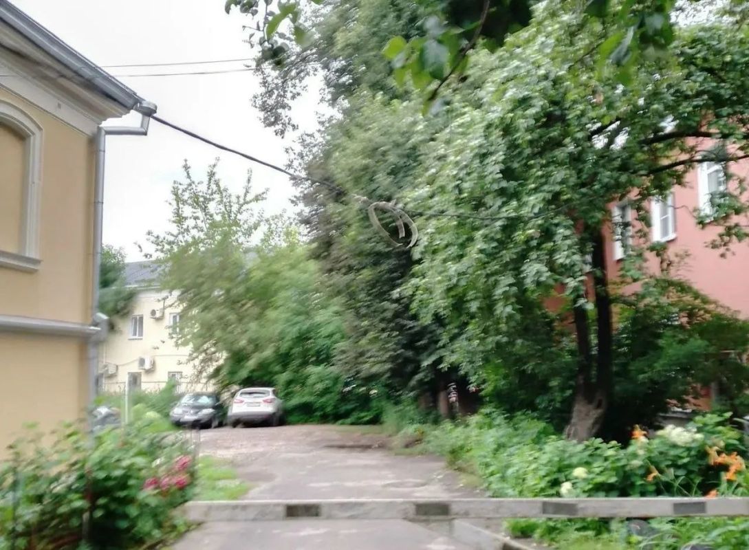 На улице Дарвина силовой кабель прикрутили проволокой к деревьям На улице Дарвина силовой кабель прикрутили проволокой к деревьям