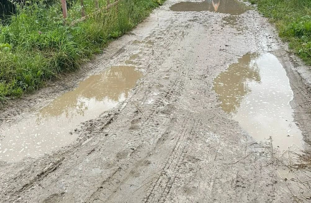 В деревне Шилово многодетная мать вынуждена сидеть дома из-за размытой дороги