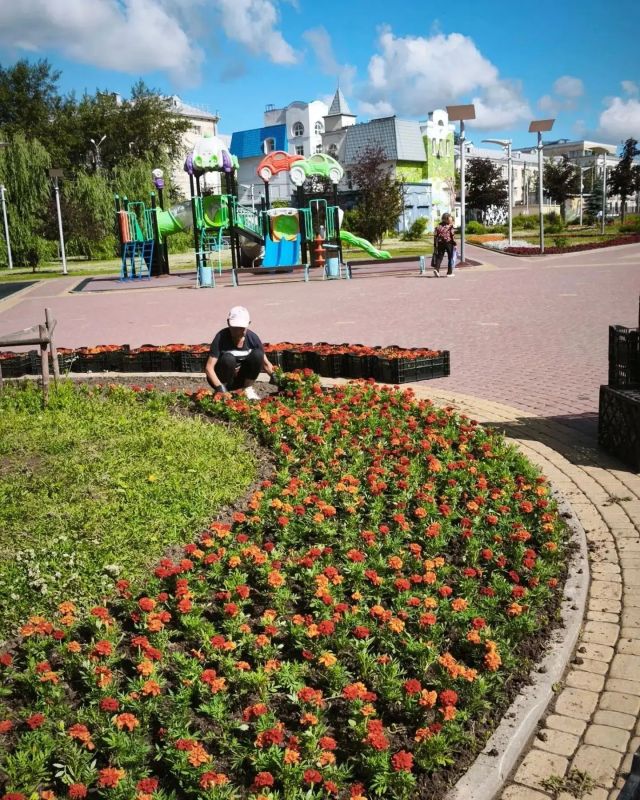 В Калуге высадят более 230 тысяч цветов В Калуге высадят более 230 тысяч цветов