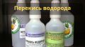 Как реанимировать старые семена: секреты успешного огородника