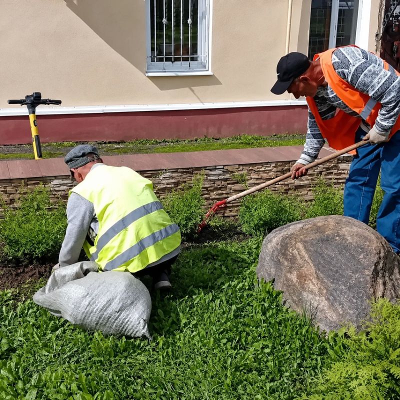 На городских улицах продолжаем удалять аварийные деревья — погибшие ясени (в рамках карантинных мероприятий) и клёны ясенелистные (американские), которые считаются инвазивным видом На городских улицах продолжаем удалять аварийные деревья — погибшие ясени (в рамках карантинных мероприятий) и клёны ясенелистные (американские), которые считаются инвазивным видом
