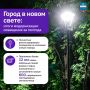 ����� � ����� �����: ����� ������������ ��������� �� �������