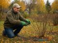 Золотая осень: секреты обрезки ягодных кустов для рекорного урожая