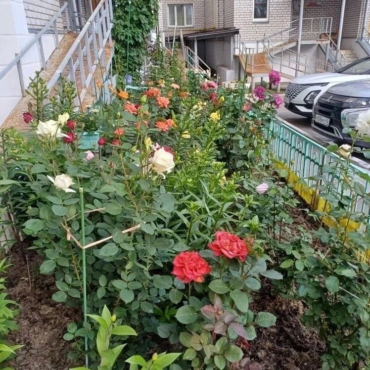 Успейте подать заявку на конкурс «Калуга в цвету» Успейте подать заявку на конкурс «Калуга в цвету»