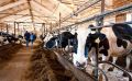 Экспорт калужской сельхозпродукции вырос на 34%