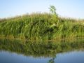 В Калуге обновили список официальных мест для купания