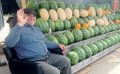 Страна Арбузия: 1200 сортов на любой вкус