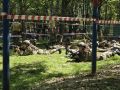 Команды из Калужской области отлично выступили на окружном этапе ЦФО Всероссийской военно-патриотической игры «Зарницы 2.0»