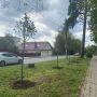 В Калуге продолжаются работы по озеленению