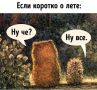 Лето всё. Как прошло ваше? Давайте поделимся друг с другом впечатлениями