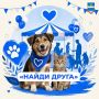 Калужан приглашают посетить ярмарку «Найди друга»