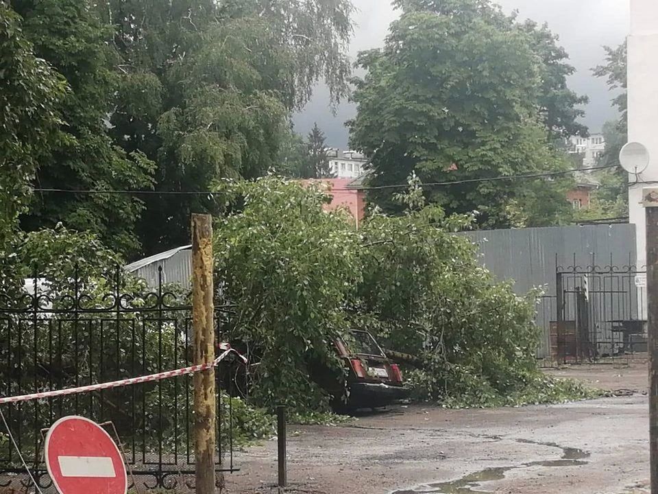 Еще одному калужанину заплатят за поврежденное деревом авто