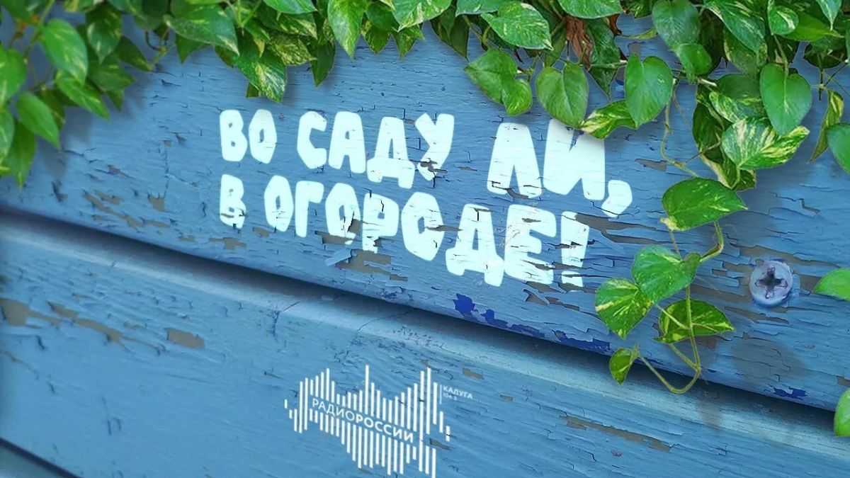 Во саду ли, в огороде! (10.09.2026)