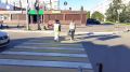 ������������ �������� �������-������������� ����������� � ����� ��������