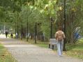 Сухая погода в Калужской области продлится до 18 сентября