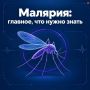 Вернулись из тропиков и почувствовали недомогание?