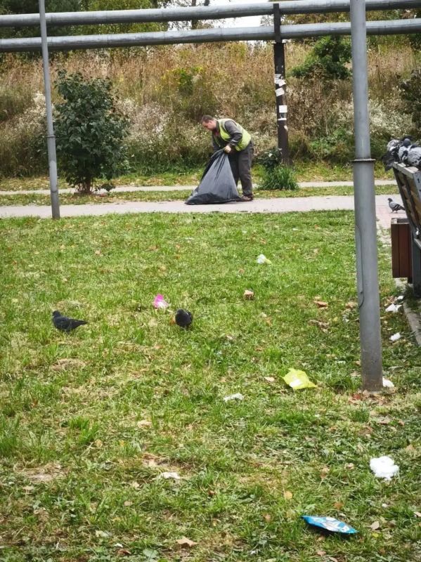 Чистые парки и скверы — это ежедневная работа Чистые парки и скверы — это ежедневная работа