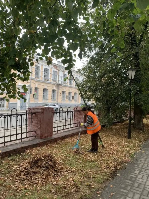 Чистые парки и скверы — это ежедневная работа Чистые парки и скверы — это ежедневная работа