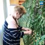 ��������� ��������� ����� ���������� �� �������� ������������� �����