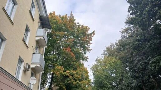 Небо над Калугой закрыли для полётов