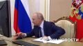 Владимир Путин проголосовал онлайн на выборах в Госдуму