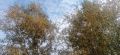 В воскресенье, 20 сентября, погода нас особо не подведет