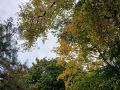 Гроза и сильный дождь ожидаются в Калужской области