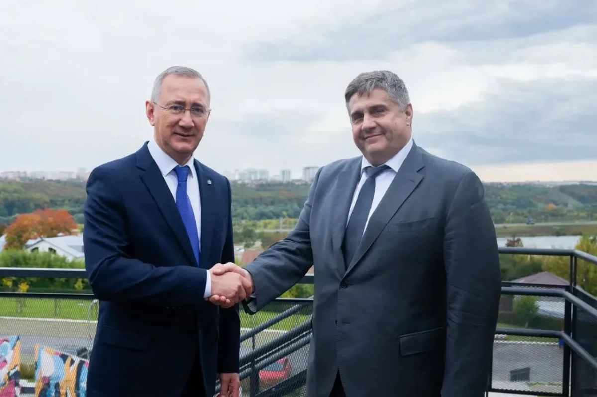 Владислав Шапша встретился с руководителем ФДА Романом Новиковым