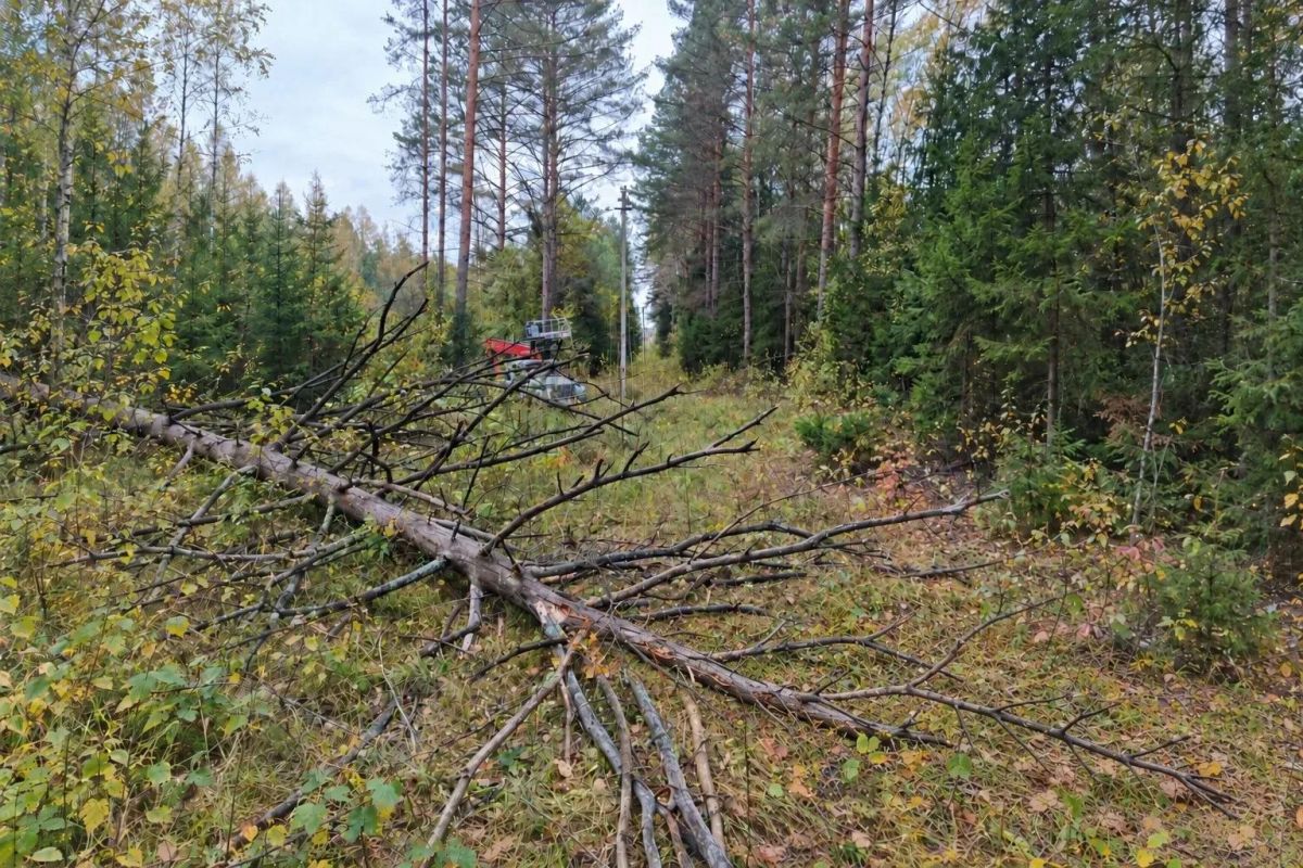 Энергетики «Калугаэнерго» оперативно восстанавливают последствия непогоды