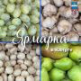 Приглашаем калужан и гостей города на традиционную ярмарку: