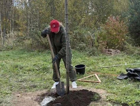 Тимирязевскую аллею высадили в Тарусе
