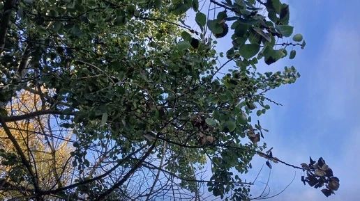 Над Калугой временно закрыто воздушное пространство
