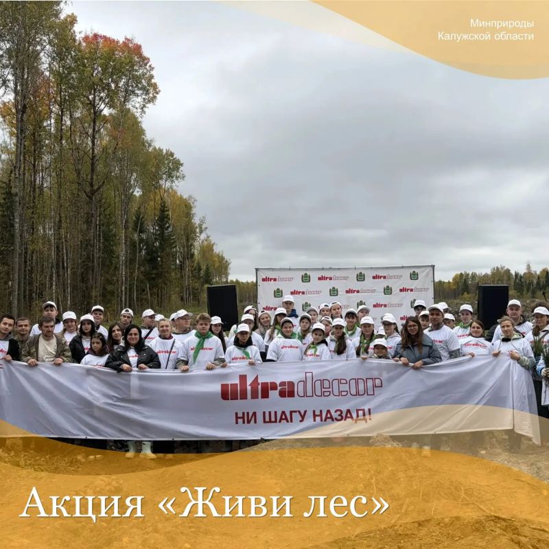 Акция «Живи лес»: вместе восстанавливаем зелёные богатства!