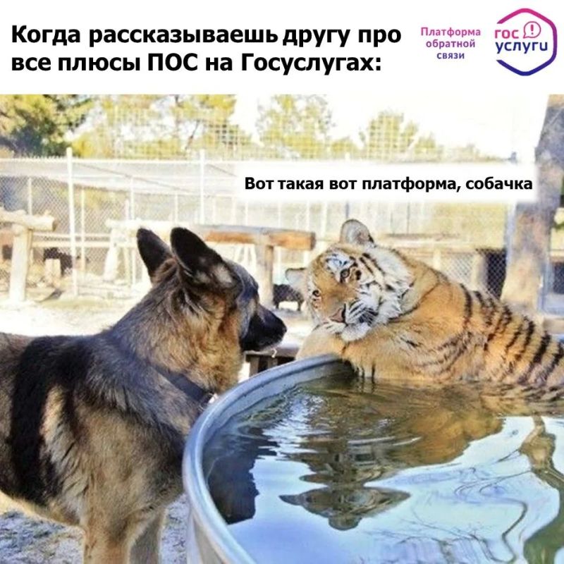 Как решить проблему в два клика