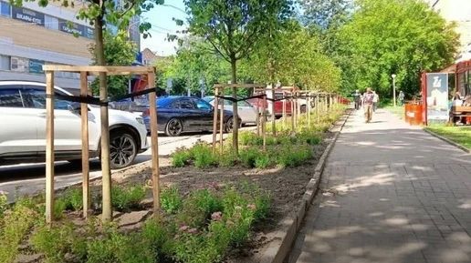 В Калуге до конца осени планируют высадить не менее 600 новых деревьев
