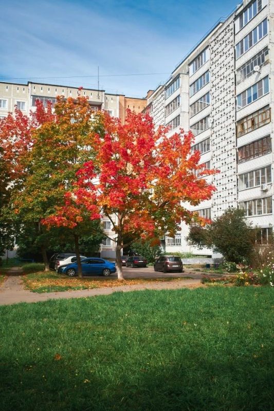 Осень в Обнинске, фото Дмитрия Дыбова Осень в Обнинске, фото Дмитрия Дыбова