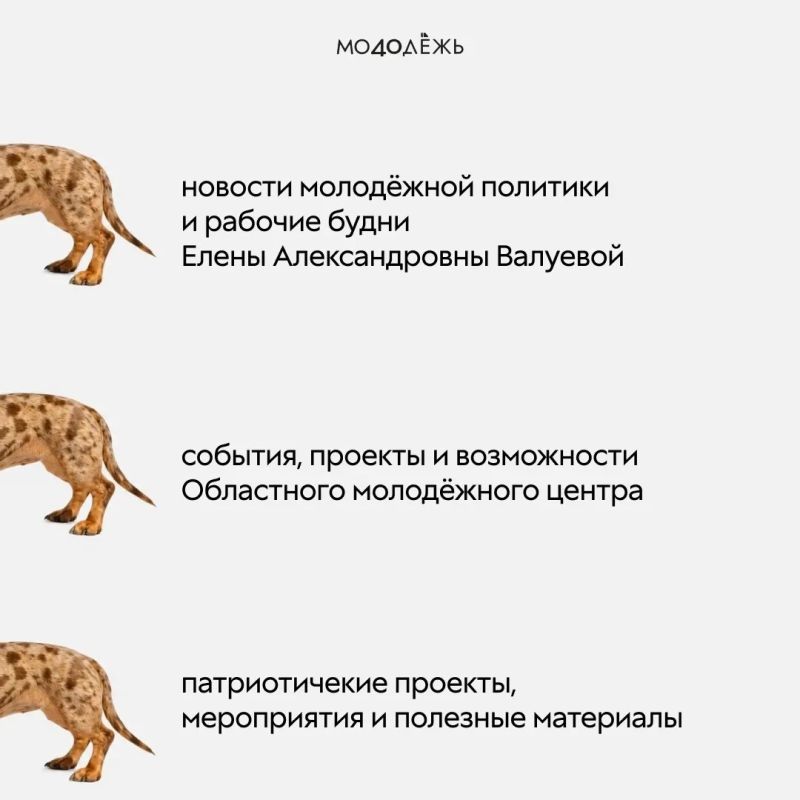 Всё это вы можете найти у нас в MAX! Всё это вы можете найти у нас в MAX!