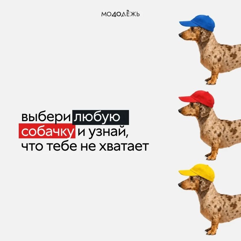 Всё это вы можете найти у нас в MAX!