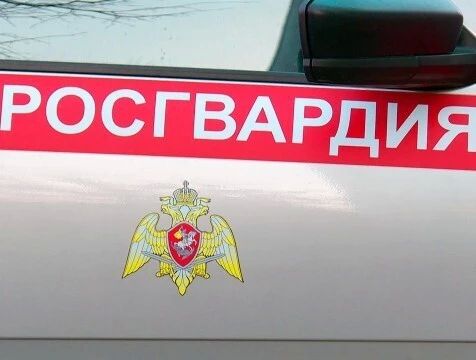 Студент задержан в Обнинске по подозрению в краже игрушек