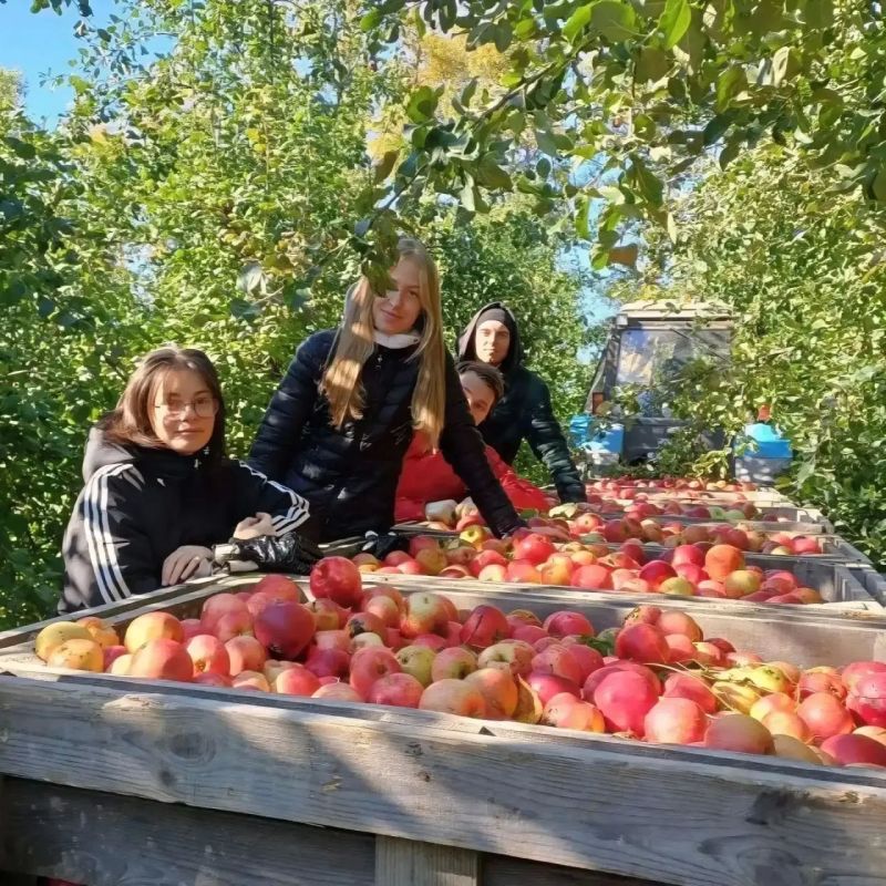 Владислав Шапша: Калужская земля – наша кормилица Владислав Шапша: Калужская земля – наша кормилица