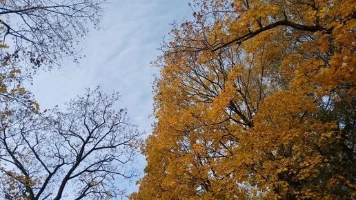 В Людиновском районе обломки беспилотника повредили дом