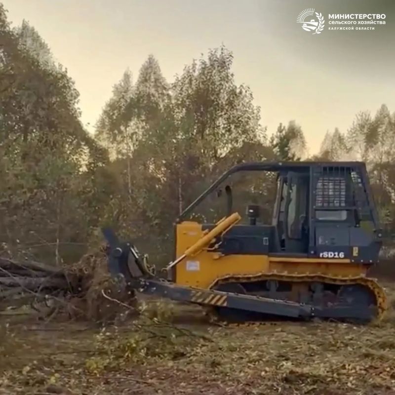 Калужская область: урожай наград с «Золотой осени» и новые рубежи в АПК Калужская область: урожай наград с «Золотой осени» и новые рубежи в АПК